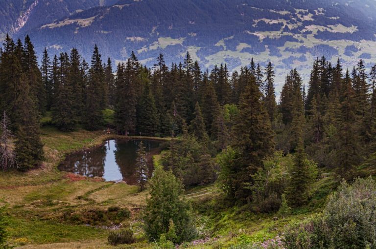 Unleashing Your Adventurous Spirit: Embracing the Thrill of Outdoor Travel